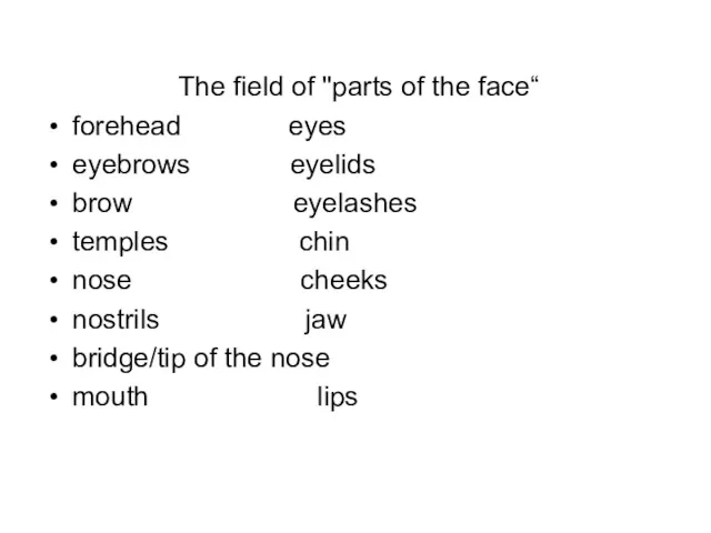 The field of "parts of the face“ forehead eyes eyebrows