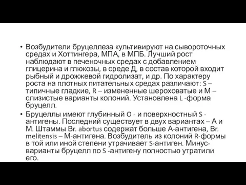 Возбудители бруцеллеза культивируют на сывороточных средах и Хоттингера, МПА, в