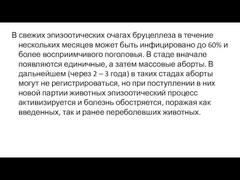 В свежих эпизоотических очагах бруцеллеза в течение нескольких месяцев может