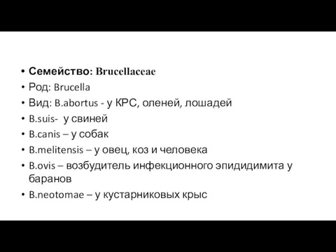 Семейство: Brucellaceae Род: Brucella Вид: B.abortus - у КРС, оленей,