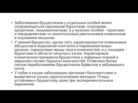 Заболевание бруцеллезом у отдельных особей может сопровождаться серозными бурситами, гигромами,