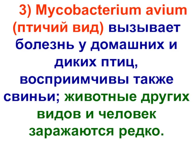 3) Mycobacterium avium (птичий вид) вызывает болезнь у домашних и