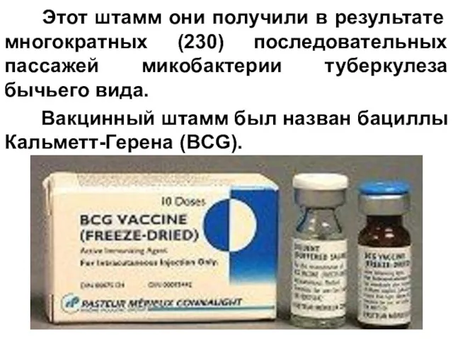 Этот штамм они получили в результате многократных (230) последовательных пассажей