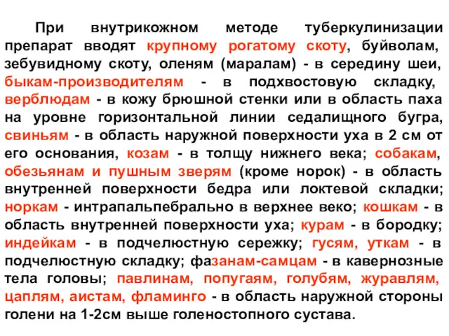 При внутрикожном методе туберкулинизации препарат вводят крупному рогатому скоту, буйволам,