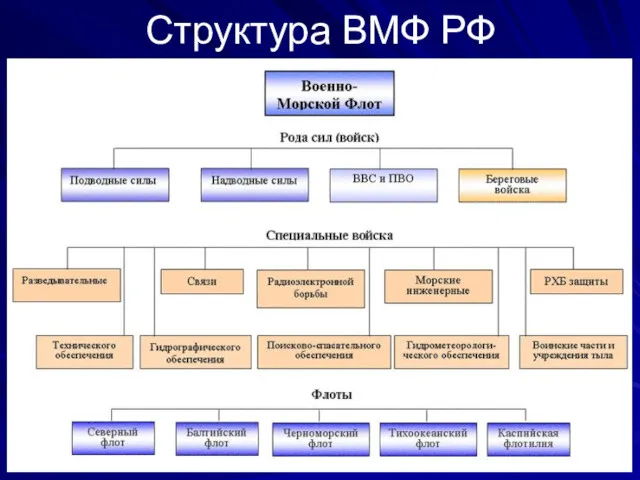 Структура ВМФ РФ