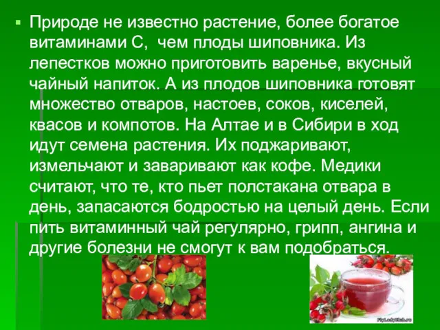 Природе не известно растение, более богатое витаминами С, чем плоды