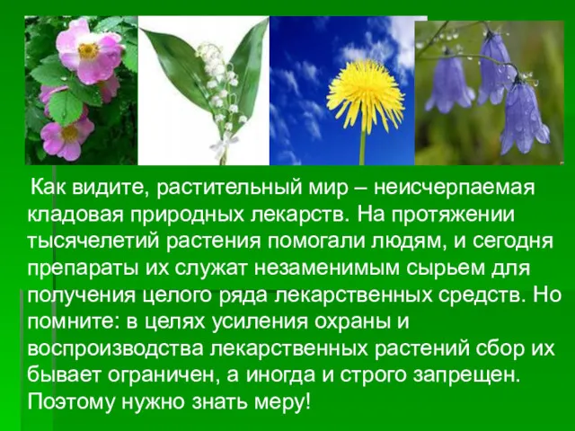 Как видите, растительный мир – неисчерпаемая кладовая природных лекарств. На