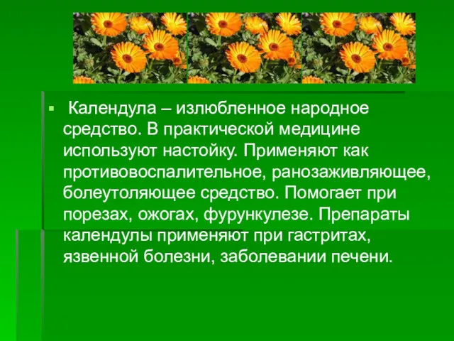 Календула – излюбленное народное средство. В практической медицине используют настойку.