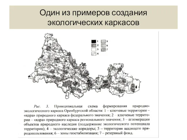 Один из примеров создания экологических каркасов