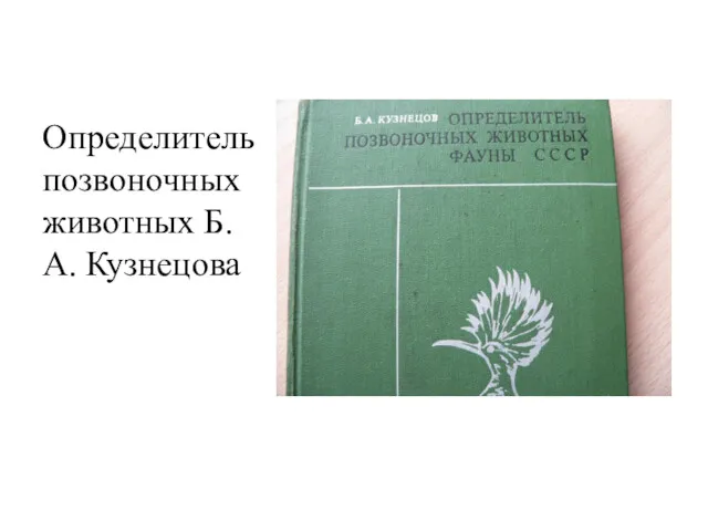 Определитель позвоночных животных Б.А. Кузнецова