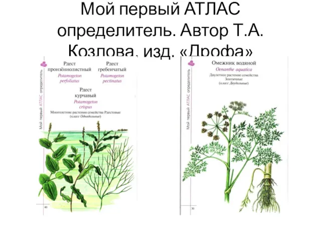 Мой первый АТЛАС определитель. Автор Т.А. Козлова, изд. «Дрофа»