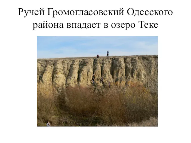 Ручей Громогласовский Одесского района впадает в озеро Теке