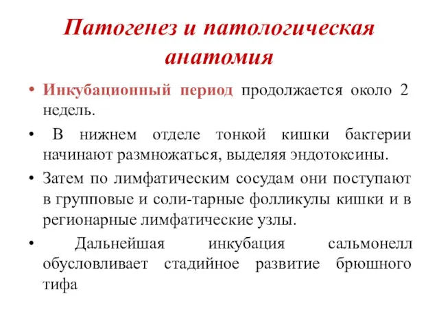 Патогенез и патологическая анатомия Инкубационный период продолжается около 2 недель.