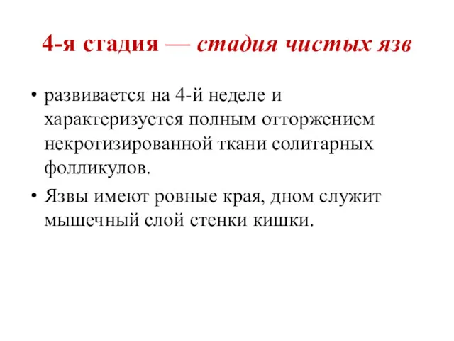 4-я стадия — стадия чистых язв развивается на 4-й неделе