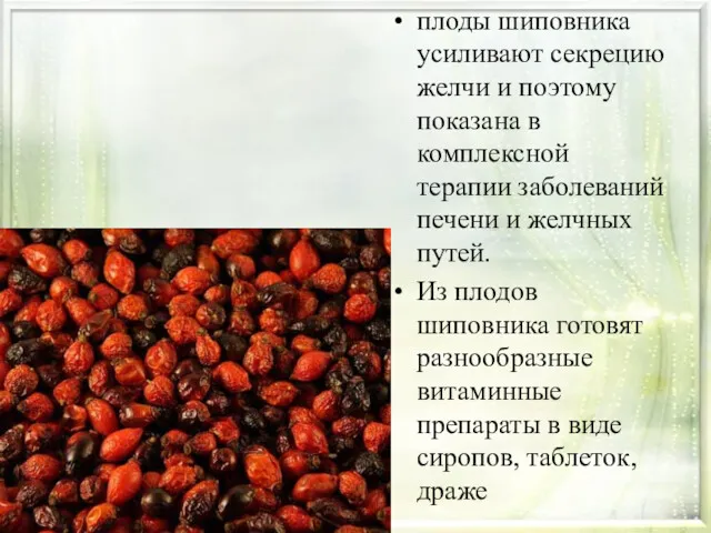 плоды шиповника усиливают секрецию желчи и поэтому показана в комплексной