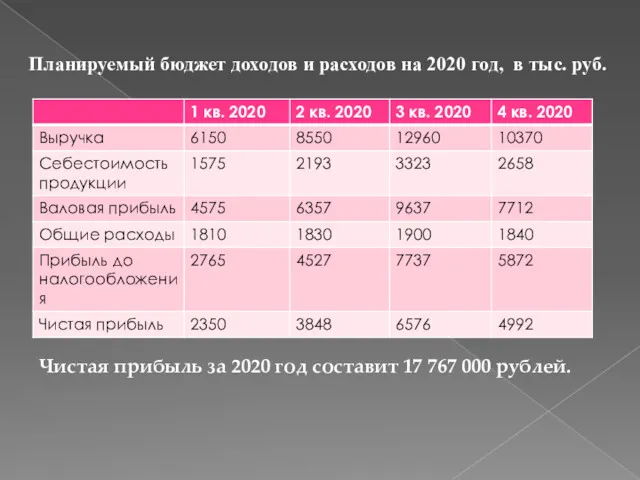 Планируемый бюджет доходов и расходов на 2020 год, в тыс. руб. Чистая прибыль