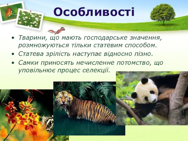 Особливості Тварини, що мають господарське значення, розмножуються тільки статевим способом.