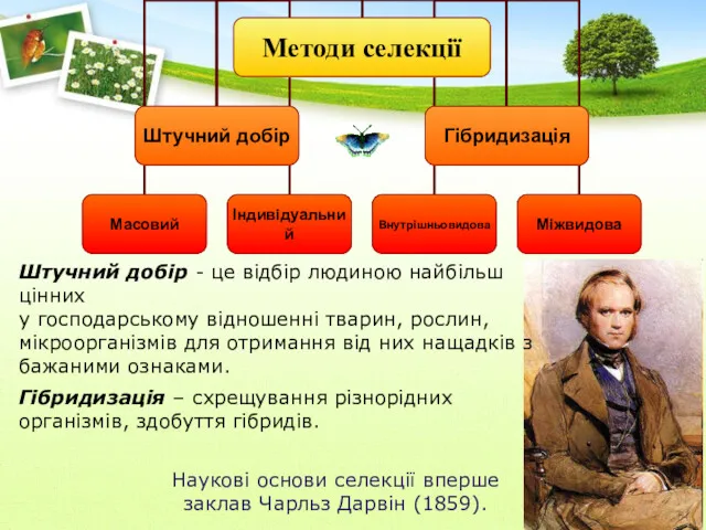 Наукові основи селекції вперше заклав Чарльз Дарвін (1859). Штучний добір