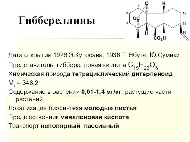 Гиббереллины Дата открытия 1926 Э.Куросава, 1936 Т. Ябута, Ю.Сумики Представитель