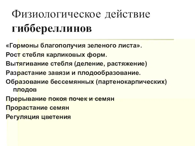 Физиологическое действие гиббереллинов «Гормоны благополучия зеленого листа». Рост стебля карликовых