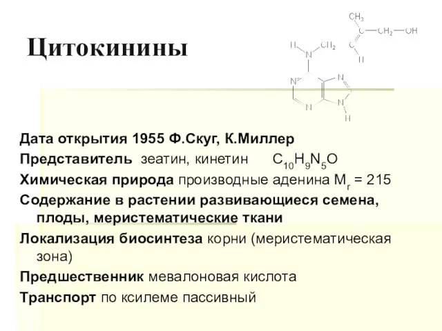 Цитокинины Дата открытия 1955 Ф.Скуг, К.Миллер Представитель зеатин, кинетин C10H9N5O