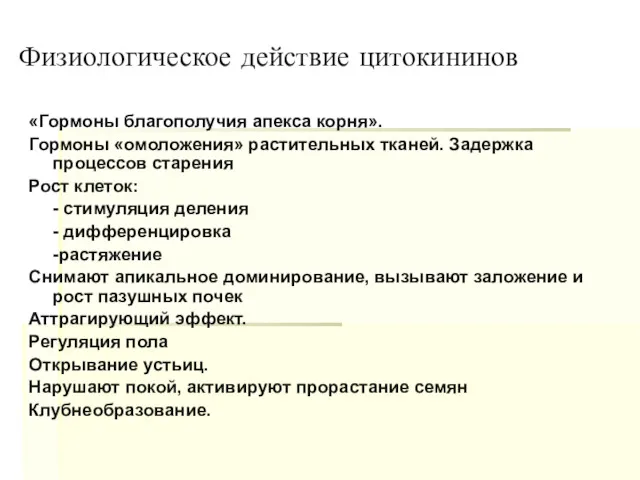 Физиологическое действие цитокининов «Гормоны благополучия апекса корня». Гормоны «омоложения» растительных