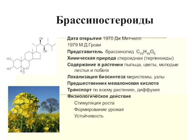 Брассиностероиды Дата открытия 1970 Дж Митчелл 1979 М.Д.Грови Представитель брассинолид