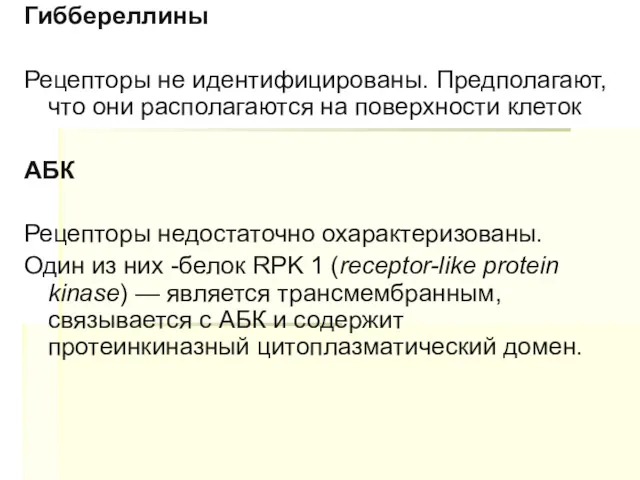 Гиббереллины Рецепторы не идентифицированы. Предполагают, что они располагаются на поверхности