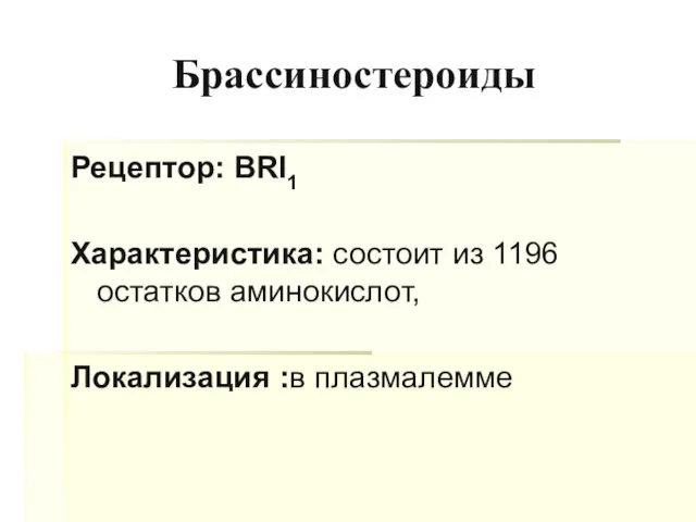 Брассиностероиды Рецептор: ВRI1 Характеристика: состоит из 1196 остатков аминокислот, Локализация :в плазмалемме