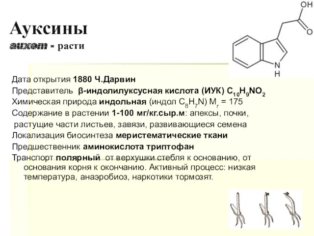 Ауксины auxem - расти Дата открытия 1880 Ч.Дарвин Представитель β-индолилуксусная