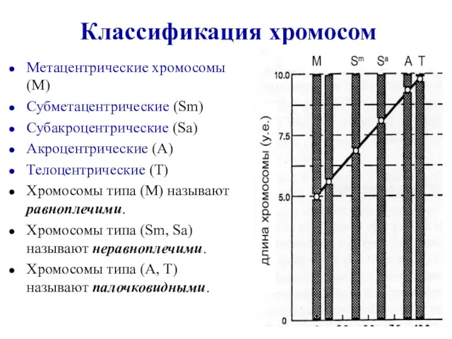 Классификация хромосом Метацентрические хромосомы (М) Субметацентрические (Sm) Субакроцентрические (Sа) Акроцентрические