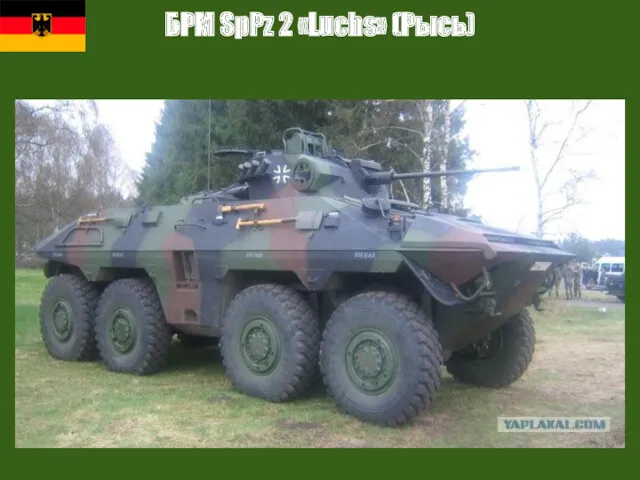 БРМ SpPz 2 «Luchs» (Рысь)