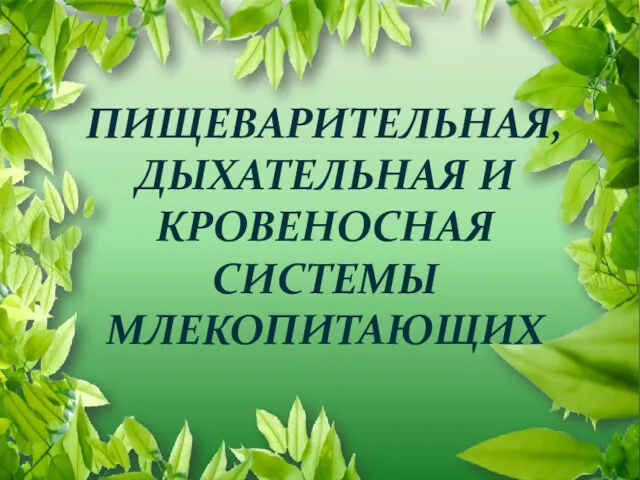 ПИЩЕВАРИТЕЛЬНАЯ, ДЫХАТЕЛЬНАЯ И КРОВЕНОСНАЯ СИСТЕМЫ МЛЕКОПИТАЮЩИХ