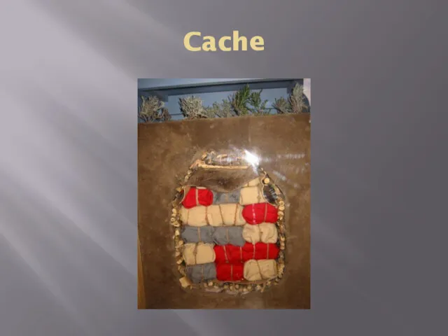 Cache