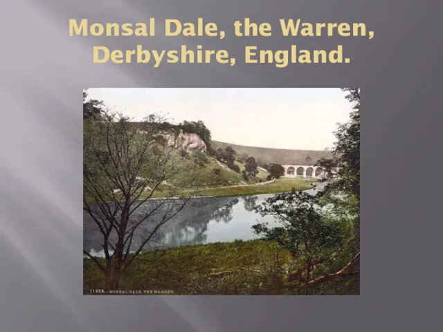Monsal Dale, the Warren, Derbyshire, England.