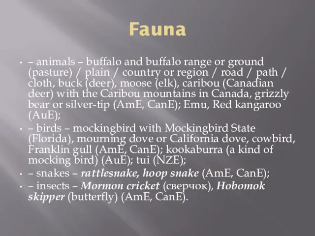 Fauna – animals – buffalo and buffalo range or ground