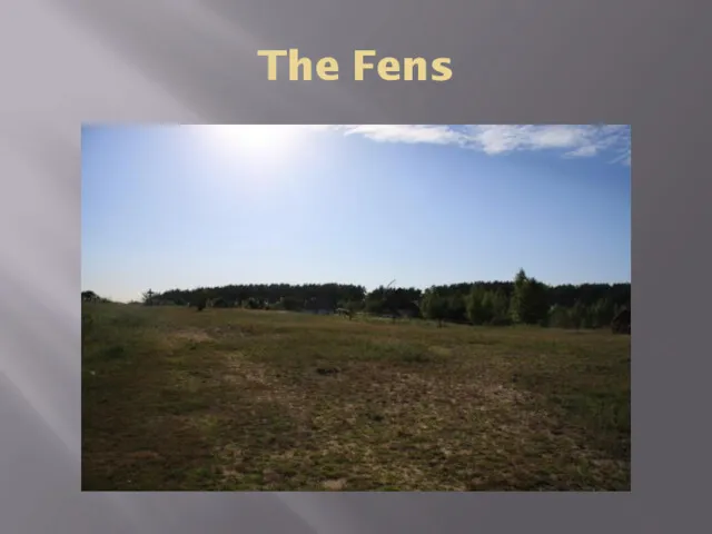 The Fens