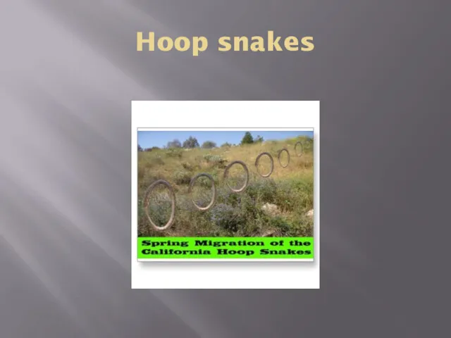 Hoop snakes