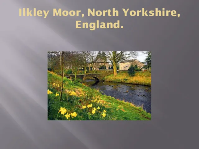 Ilkley Moor, North Yorkshire, England.