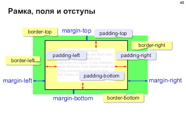 Рамка, поля и отступы Lorem ipsum dolor sit amet, consectetur