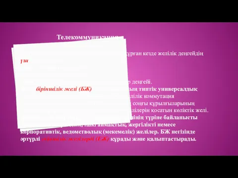 Қазіргі телекоммуникациялық желілерді құрған кезде желілік деңгейдің үш түрі болады: