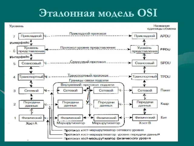 Эталонная модель OSI