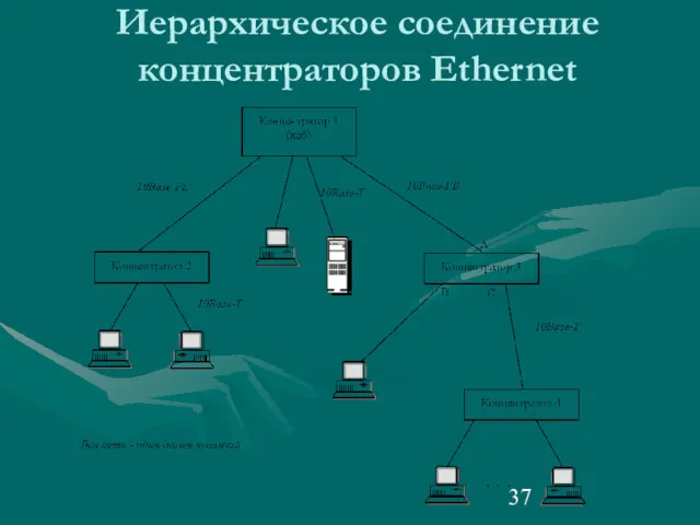 Иерархическое соединение концентраторов Ethernet