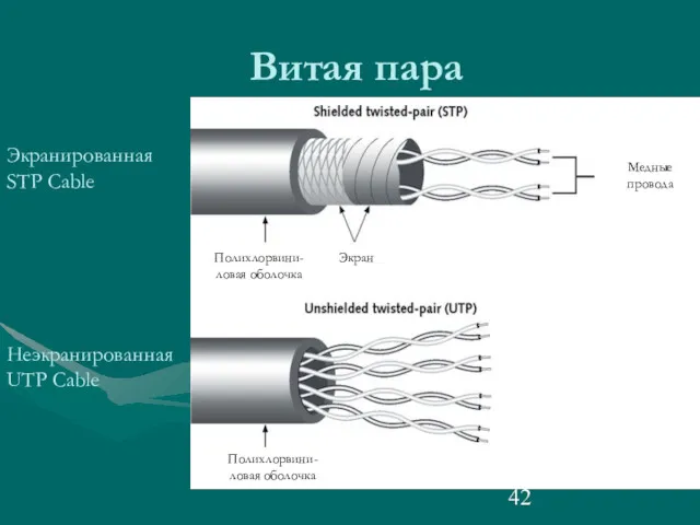 Витая пара Экранированная STP Cable Неэкранированная UTP Cable Полихлорвини-ловая оболочка Полихлорвини-ловая оболочка Экран Медные провода