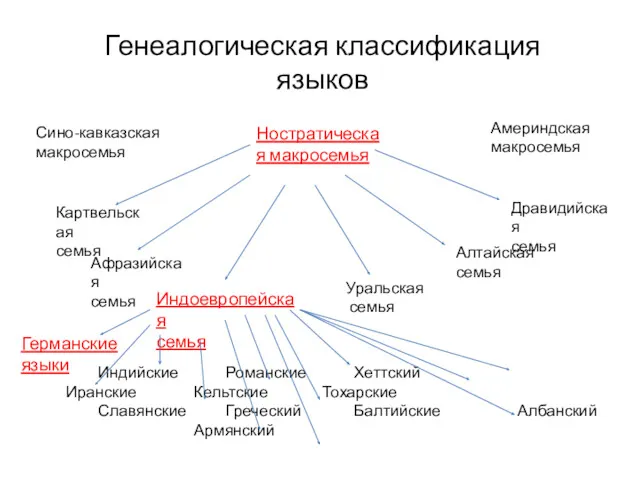 Генеалогическая классификация языков Сино-кавказская макросемья Ностратическая макросемья Америндская макросемья Индоевропейская семья Картвельская семья