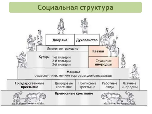 Социальная структура