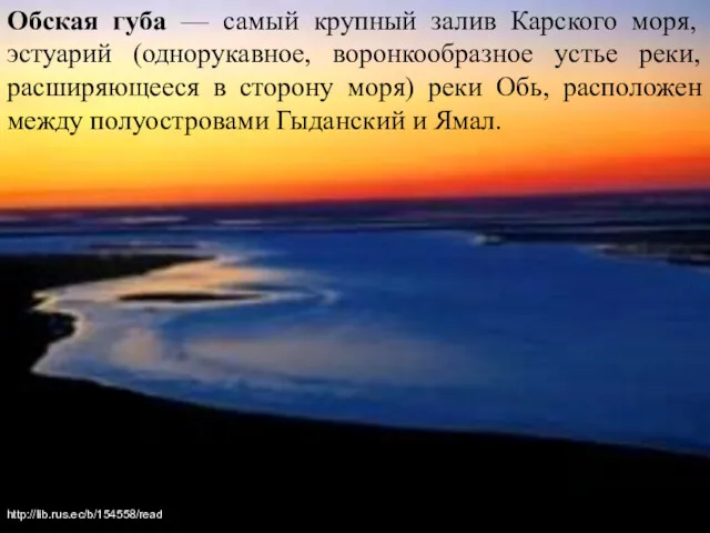 Обская губа — самый крупный залив Карского моря, эстуарий (однорукавное,