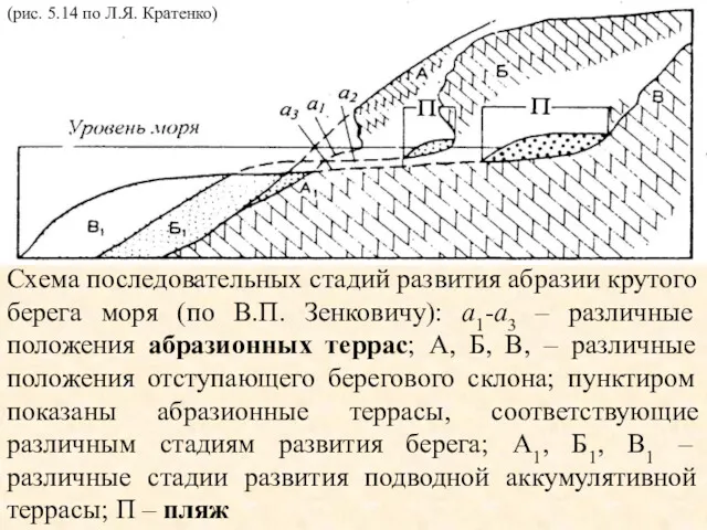 Схема последовательных стадий развития абразии крутого берега моря (по В.П.