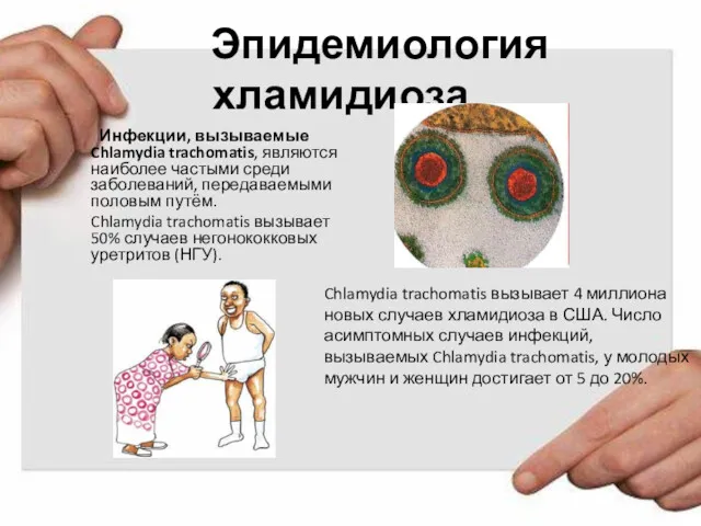 Эпидемиология хламидиоза. Инфекции, вызываемые Chlamydia trachomatis, являются наиболее частыми среди