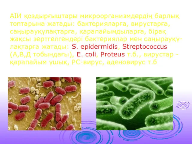 АІИ қоздырғыштары микроорганизмдердің барлық топтарына жатады: бактерияларға, вирустарға, саңырауқүлақтарға, қарапайымдыларға,